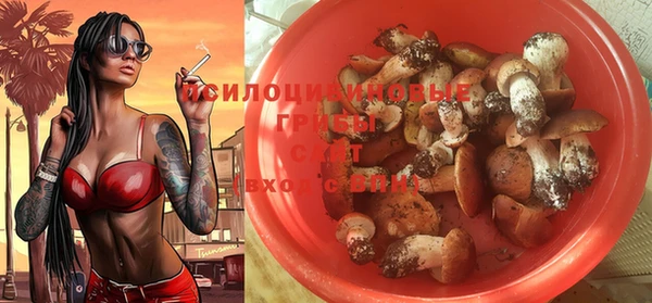 PSILOCYBIN Абинск