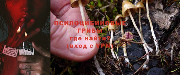 PSILOCYBIN Абинск