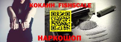 гидра Новозыбков
