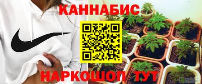стафф Новокубанск