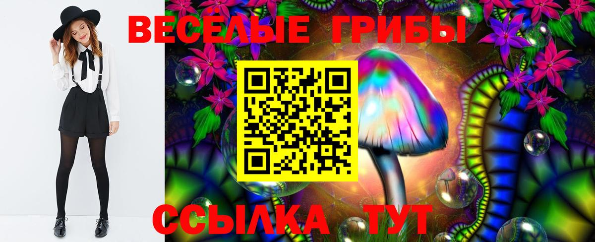 Псилоцибиновые грибы Psilocybine cubensis  Вход с VPN  Псилоцибиновые грибы Psilocybine cubensis  купить наркотики цена  Новочеркасск 