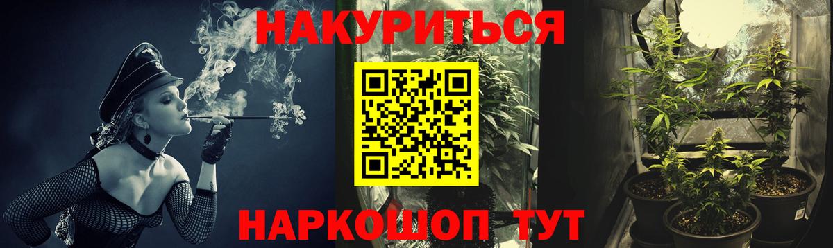 Конопля план  Бошки марихуана план  Вход с VPN  Бошки Шишки SATIVA & INDICA  Новочеркасск 